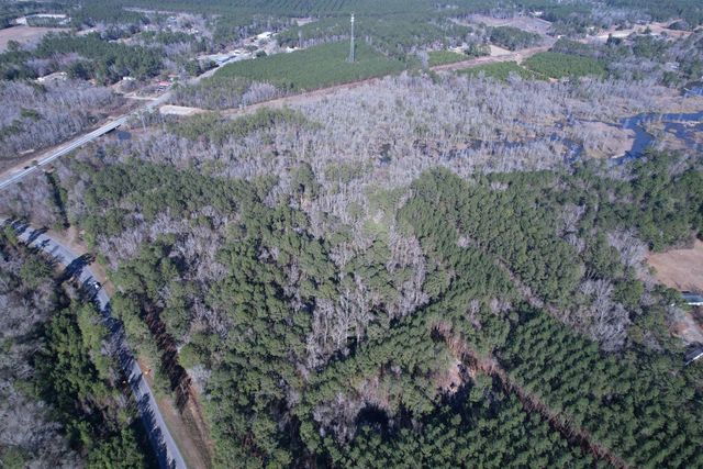 31.40 Acres-TBD Pennyroyal Rd., Georgetown, SC 29440