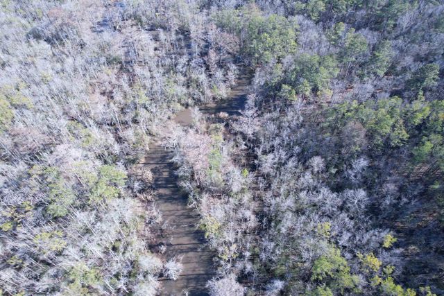 31.40 Acres-TBD Pennyroyal Rd., Georgetown, SC 29440