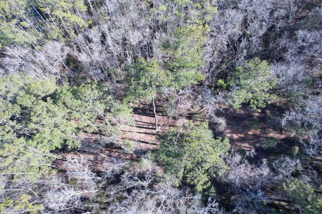 31.40 Acres-TBD Pennyroyal Rd., Georgetown, SC 29440