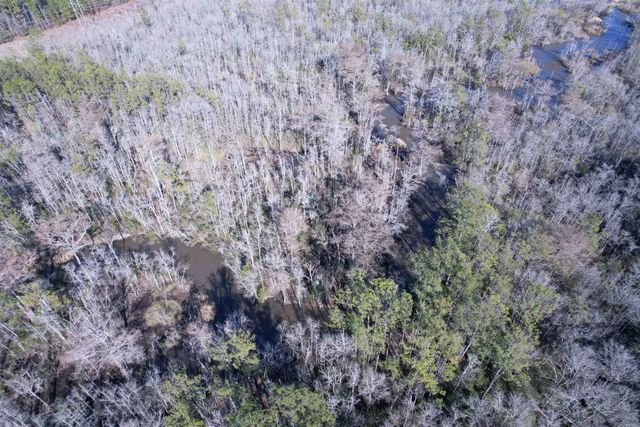 31.40 Acres-TBD Pennyroyal Rd., Georgetown, SC 29440