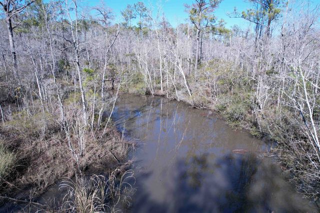 31.40 Acres-TBD Pennyroyal Rd., Georgetown, SC 29440