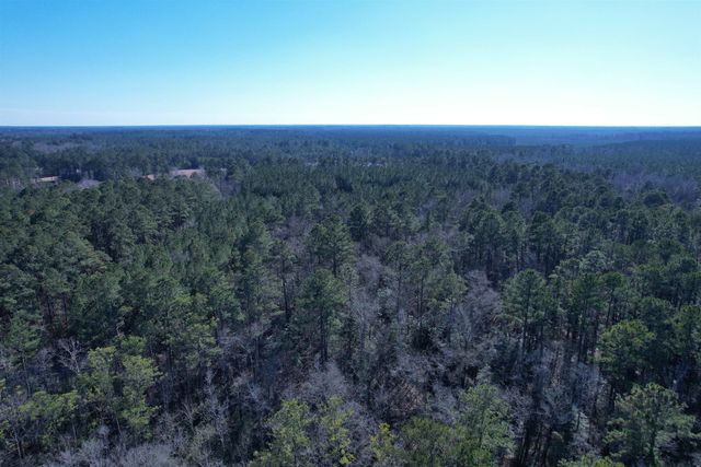 31.40 Acres-TBD Pennyroyal Rd., Georgetown, SC 29440