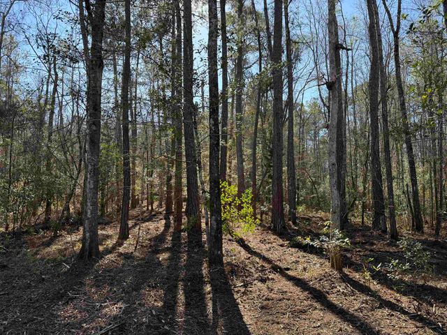 31.40 Acres-TBD Pennyroyal Rd., Georgetown, SC 29440