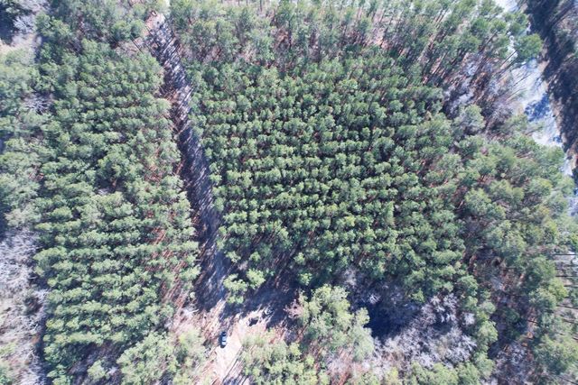 31.40 Acres-TBD Pennyroyal Rd., Georgetown, SC 29440