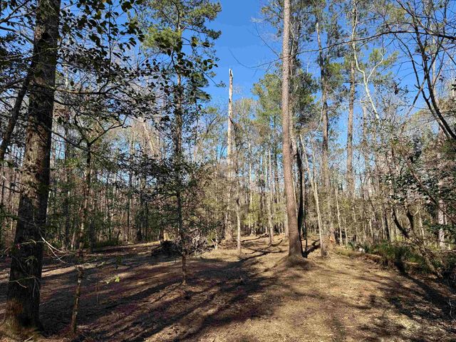31.40 Acres-TBD Pennyroyal Rd., Georgetown, SC 29440