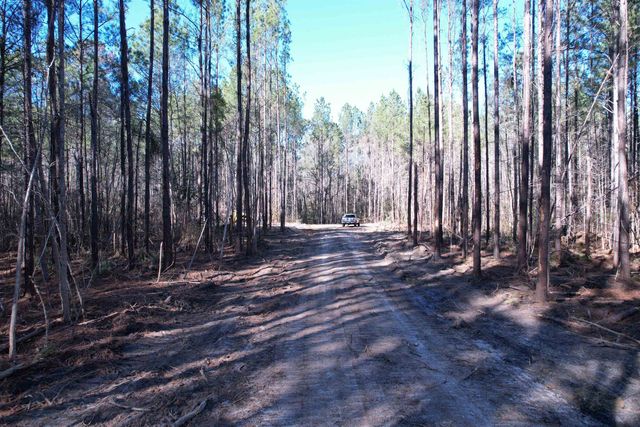 31.40 Acres-TBD Pennyroyal Rd., Georgetown, SC 29440