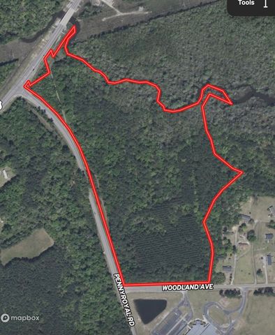 31.40 Acres-TBD Pennyroyal Rd., Georgetown, SC 29440
