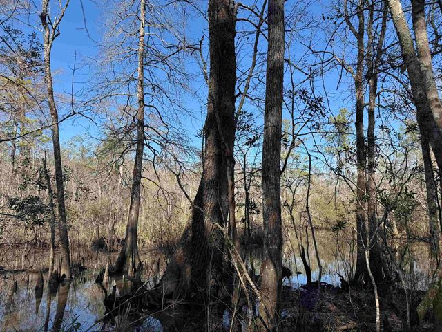 31.40 Acres-TBD Pennyroyal Rd., Georgetown, SC 29440