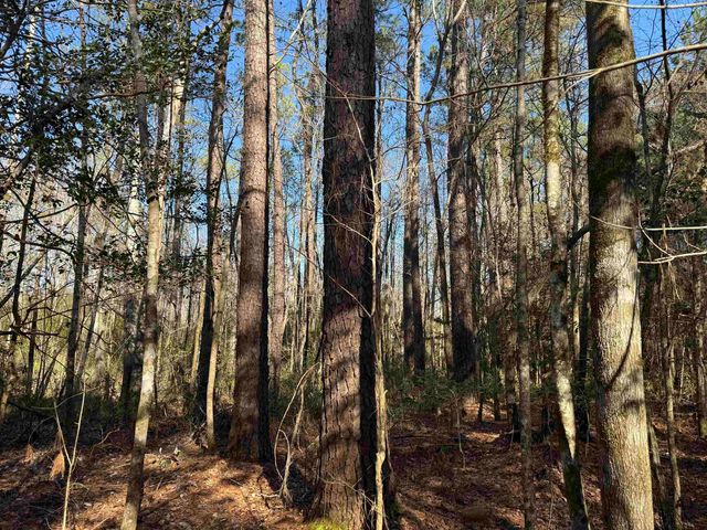 31.40 Acres-TBD Pennyroyal Rd., Georgetown, SC 29440