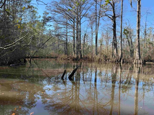 31.40 Acres-TBD Pennyroyal Rd., Georgetown, SC 29440