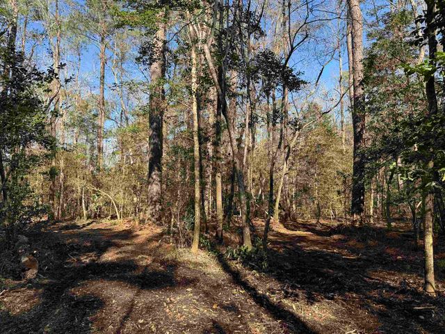 31.40 Acres-TBD Pennyroyal Rd., Georgetown, SC 29440