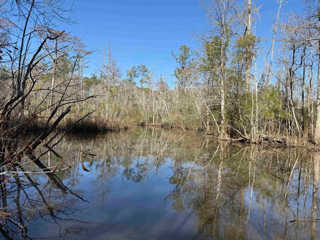 31.40 Acres-TBD Pennyroyal Rd., Georgetown, SC 29440