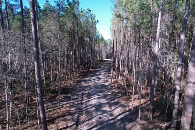 31.40 Acres-TBD Pennyroyal Rd., Georgetown, SC 29440