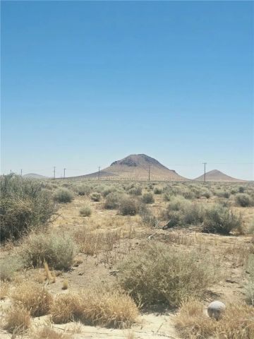477 Tanbark, California City, CA 93505