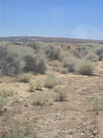 477 Tanbark, California City, CA 93505
