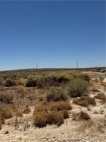 477 Tanbark, California City, CA 93505