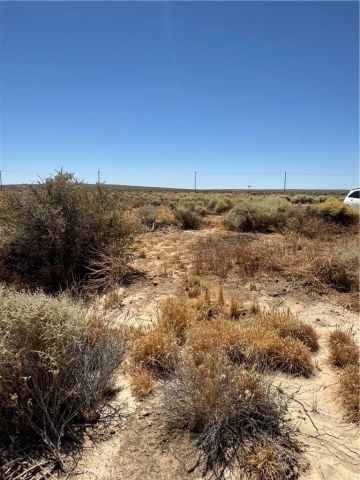 477 Tanbark, California City, CA 93505