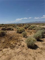 477 Tanbark, California City, CA 93505