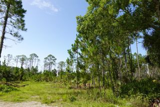 3738 HONEYDEW LANE, New Smyrna Beach, FL 32168