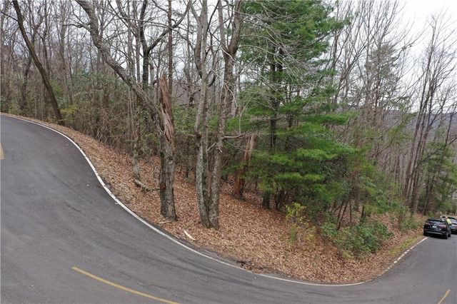 1183 Mcelroy Mountain Drive, Big Canoe, GA 30143