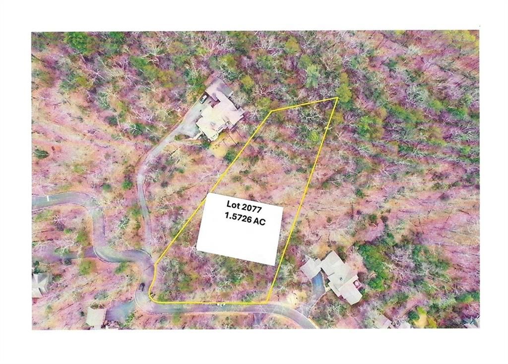 1183 Mcelroy Mountain Drive, Big Canoe, GA 30143