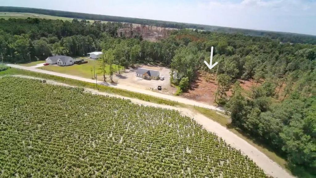 TBD Lawson Rd., Loris, SC 29569 — photo 2