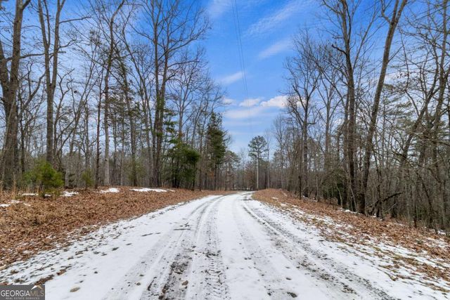 TR4 Curtis Ridge Road 4, Blue Ridge, GA 30513