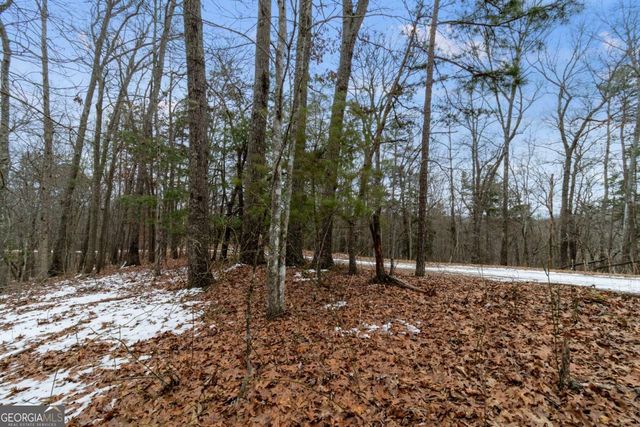 TR4 Curtis Ridge Road 4, Blue Ridge, GA 30513
