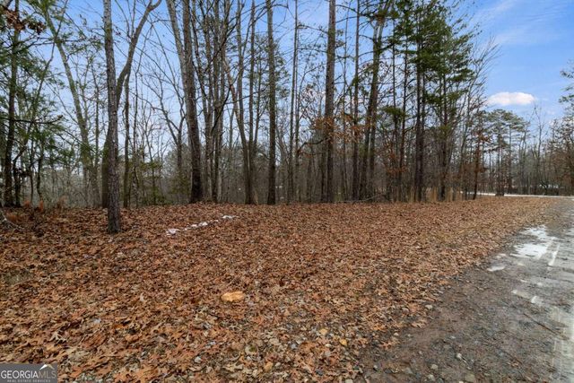 TR4 Curtis Ridge Road 4, Blue Ridge, GA 30513