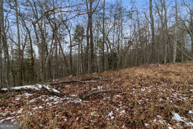 TR4 Curtis Ridge Road 4, Blue Ridge, GA 30513