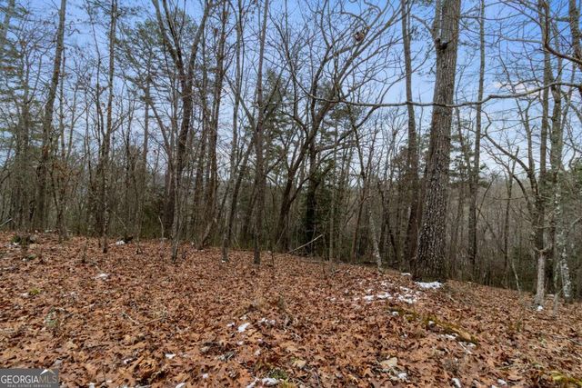 TR4 Curtis Ridge Road 4, Blue Ridge, GA 30513