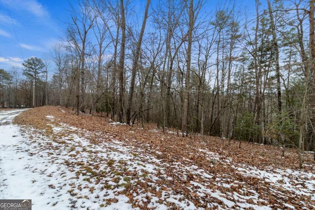 TR4 Curtis Ridge Road 4, Blue Ridge, GA 30513