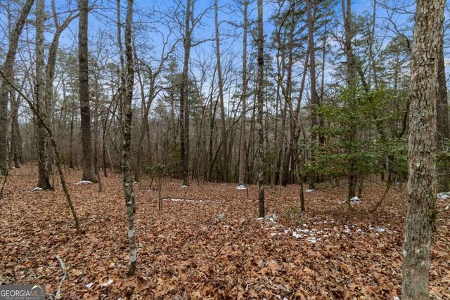 TR4 Curtis Ridge Road 4, Blue Ridge, GA 30513