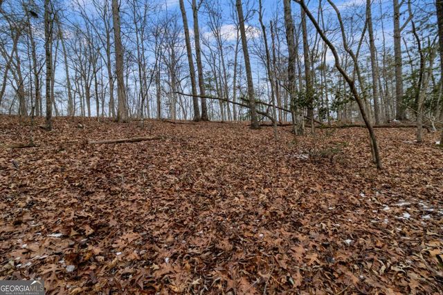 TR4 Curtis Ridge Road 4, Blue Ridge, GA 30513