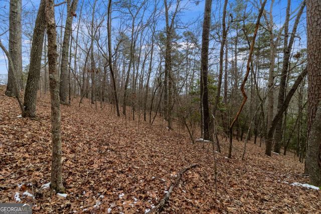 TR4 Curtis Ridge Road 4, Blue Ridge, GA 30513