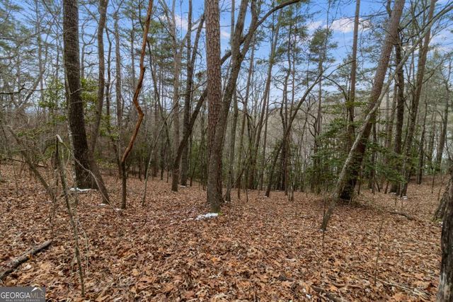 TR4 Curtis Ridge Road 4, Blue Ridge, GA 30513