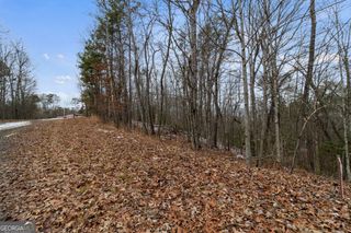 TR4 Curtis Ridge Road 4, Blue Ridge, GA 30513