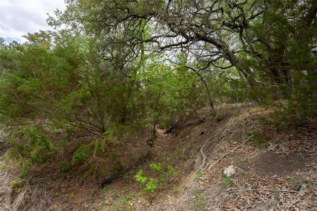 523 Dario DR, Dripping Springs, TX 78620