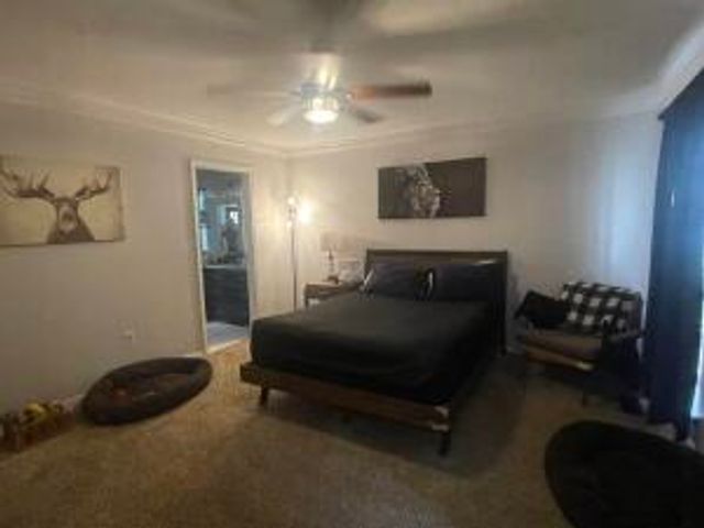 7 CEDAR CREEK, Clarksville, AR 72830