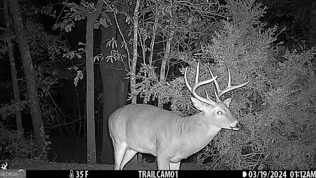 21 Jess Lane, Commerce, GA 30530