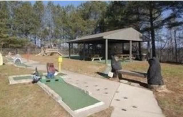 46 Floral Court, Ellijay, GA 30540