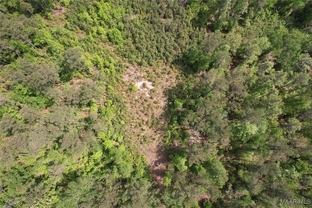 0 County Road 63 ., Marbury, AL 36051