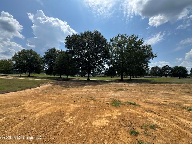 555 Patrick Farms Drive, Pearl, MS 39208