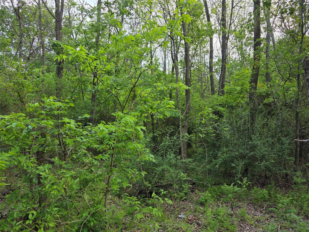 1202 Rosemary Street, Greenville, TX 75401
