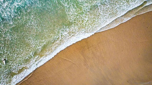 886 Felspar St, San Diego, CA 92109