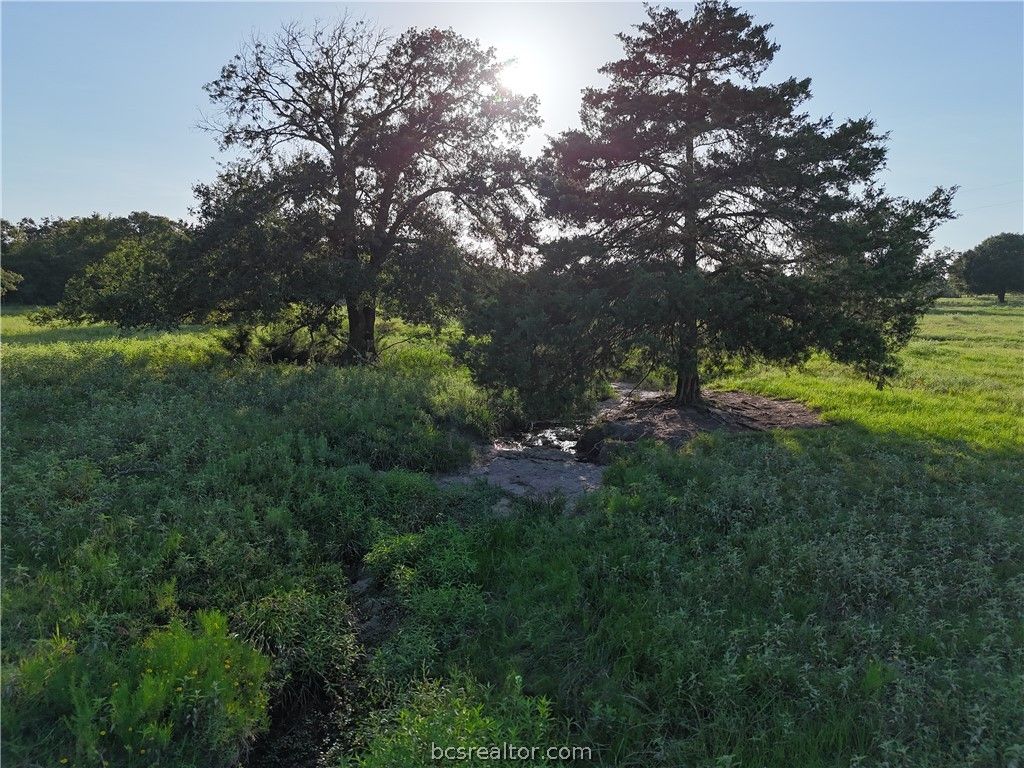 8600 FM 1361, Snook, TX 77878 — exterior
