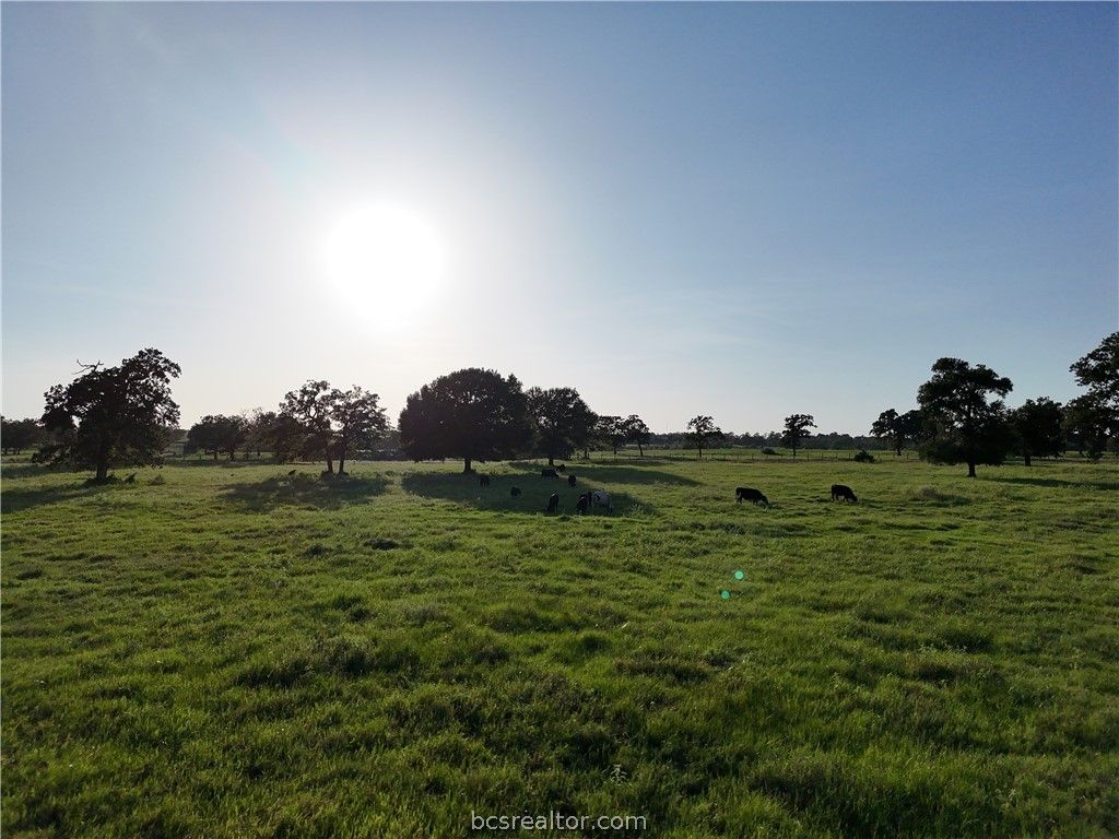 8600 FM 1361, Snook, TX 77878 — photo 3