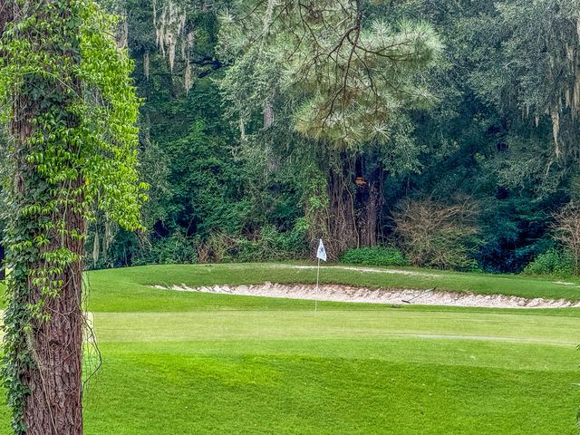 206 Golfview Lane, Summerville, SC 29485