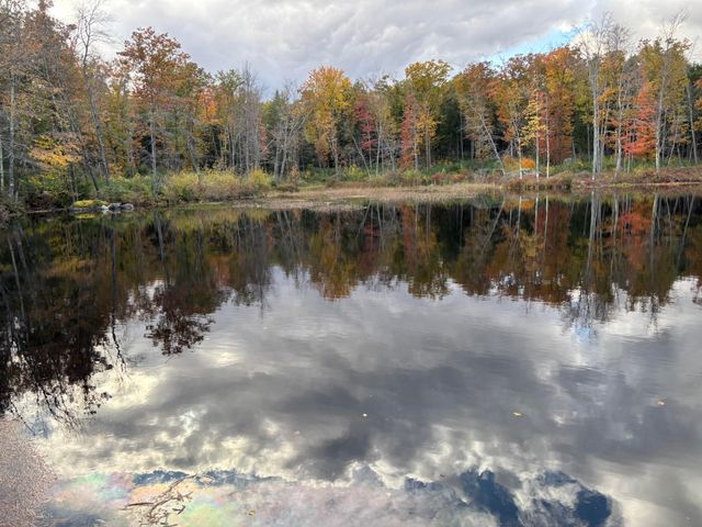 4 Tannery Hill Road, Hancock, NH 03449