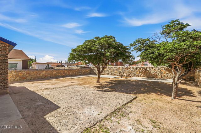 14357 Venecia Drive, Horizon City, TX 79928